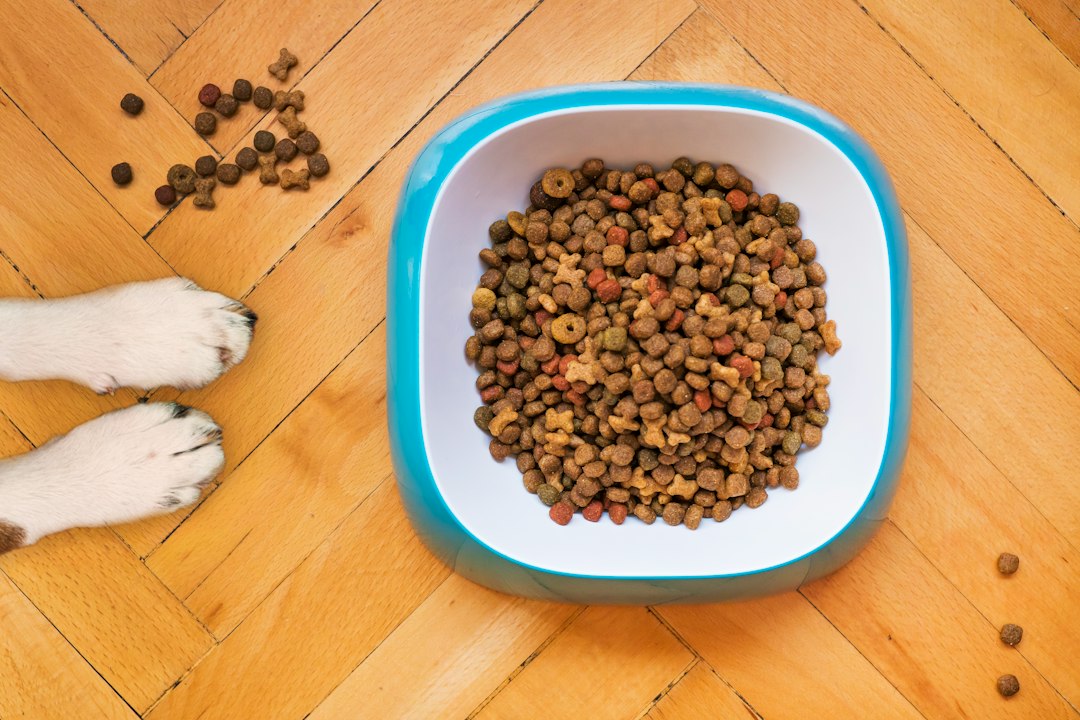 Wie viel Futter braucht mein Hund?