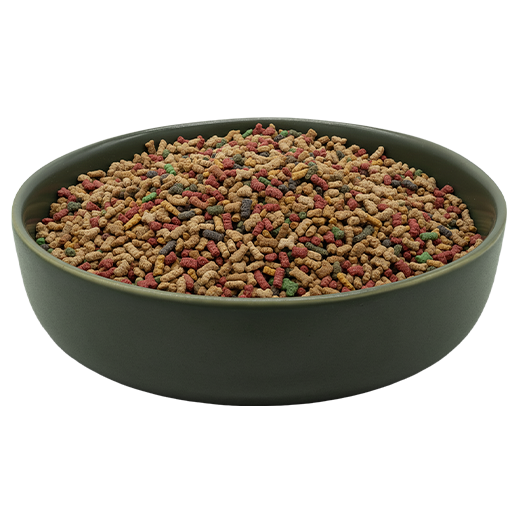 REiCO Hormon Balance+ 150 g